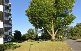 Hauptbild Ideal für kleine Familie oder Best Ager. 3-Zimmer, Balkon, barrierearm.